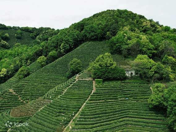 hangzhou